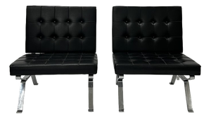 Dione Chairs by Gastone Rinaldi for Rima, 1960, Set of 2
