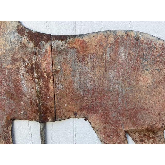Early 20th Century Early 20th Century Jumbo-Sized Sheet Iron Horse Weathervane For Sale - Image 5 of 9