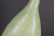 Contemporary Fern Bottle with Small Base in Gress Green from VGnewtrend For Sale - Image 3 of 8