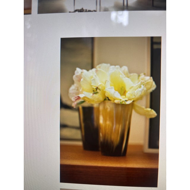 Set of 7 Collection of Horn Cups For Sale - Image 9 of 9