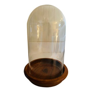 Mid Century Hand Blown Cloche and Walnut Base For Sale
