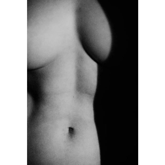 Cyrille Druart, Photograph For Sale - Image 4 of 4