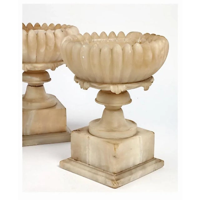 This is a stunning pair of antique 19th century Italian Alabaster Tazze carved in a water lily-inspired form. The Tazza is...