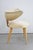 1950s Mid-Century Armchair by Umberto Mascagni, Italy, 1950s For Sale - Image 5 of 15