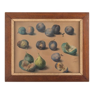 Mid 19th Century Still Life of Figs and Plums by Adèle Hippolyte Lallemand For Sale