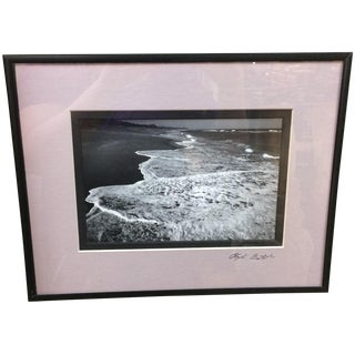 "Florida Coast" Framed Photograph by Clyde Butcher For Sale