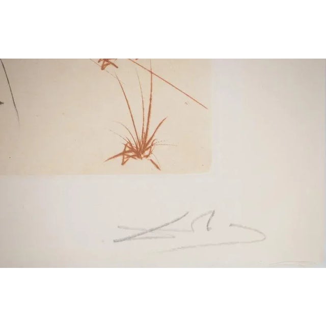 Salvador dali (1904-1989) don quixote and the windmills original drypoint engraving on aquatint background signed in...