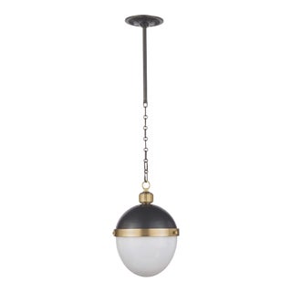 Regina Andrew Otis Pendant Medium in Blackened and Natural Brass For Sale