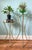Vintage plant stand featuring a sculptural faux-bamboo frame in a polished brass-tone finish with a removable round glass...
