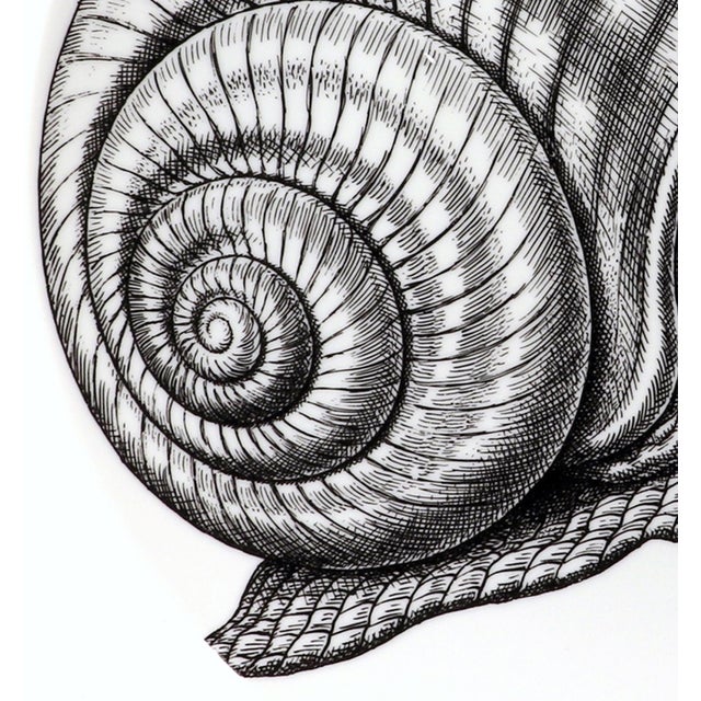 Fornasetti Tema E Variazioni Porcelain Wall Plate No. 260, the Snail For Sale In Philadelphia - Image 6 of 8