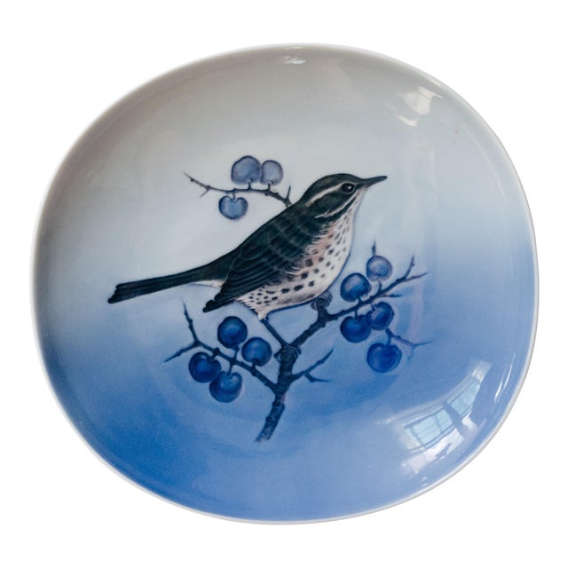 Vintage Royal Copenhagen Decorative Wall Plate Turdus Lliacus (Redwing) Bird For Sale