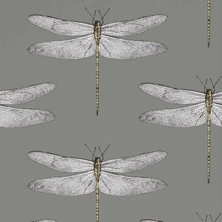 Harlequin Demoiselle Wallpaper in Graphite/Almond For Sale