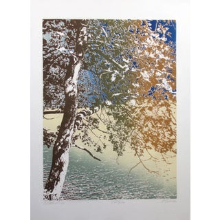 1980s "Celebration" Landscape Color Etching Numbered 220/300 by Paula Crane For Sale