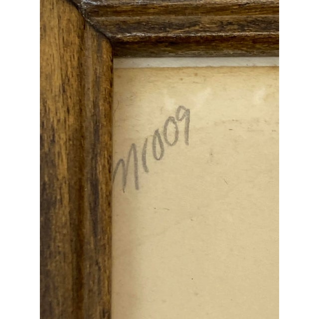 Tan Prideaux John Selby "Bee Eaters European M&f" Hand Colored Etching C.1820s For Sale - Image 8 of 12