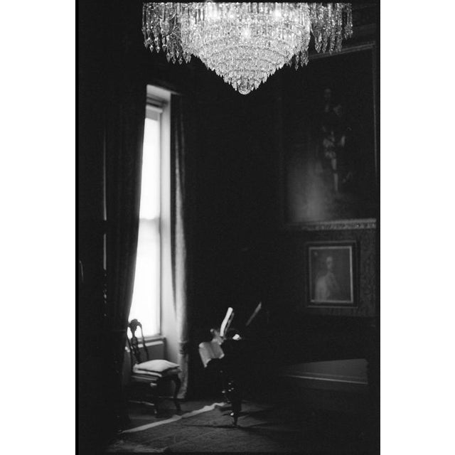 Not Yet Made - Made To Order Paul Cooklin, Chandelier, Edition of 50 For Sale - Image 5 of 5