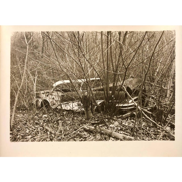 Signed with initial. Hatay is a visual artist, a healer and a former Rock and Roll photojournalist. Born in Scotland of a...