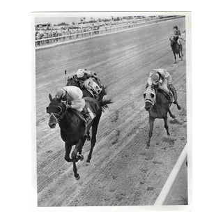 1973 Miami Horse Racing Photograph For Sale