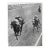 1973 Miami Horse Racing Photograph For Sale