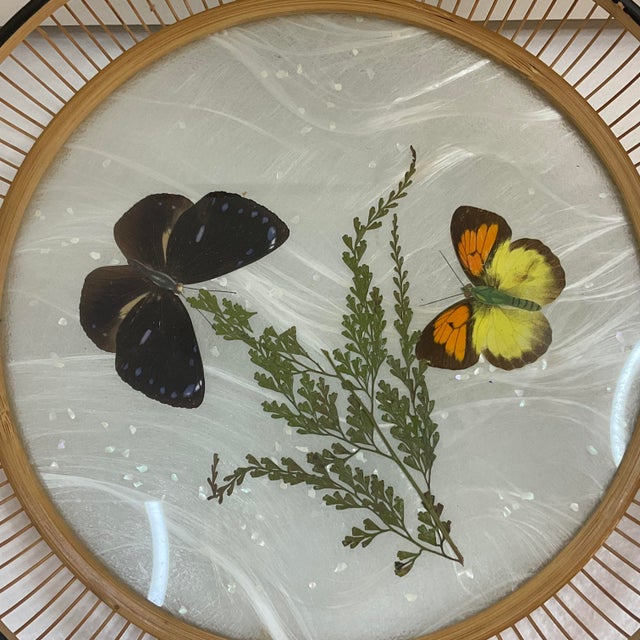 Boho Chic 1970s Vintage Boho Chic Arts & Crafts Split Rattan and Butterfly Tray For Sale - Image 3 of 5