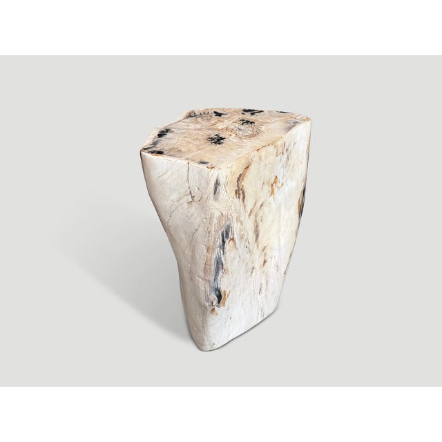 Contemporary Andrianna Shamaris Multifaceted Modern Organic Petrified Wood Side Table For Sale - Image 3 of 6