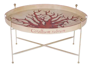 Vintage Tole Tray Table with Red Coral