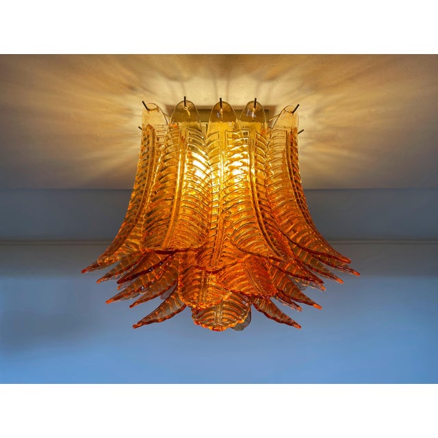 Glass Murano Chandelier from 32 Amber Felci Glasses, 1990 For Sale - Image 7 of 14