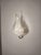 Leaf Wall Lamps in Transparent and White Murano Glass from La Murrina, 1980s, Set of 2 For Sale - Image 12 of 18
