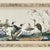 Mid 19th Century Pair of Antique Chinese Pith Paintings of Birds For Sale - Image 5 of 18