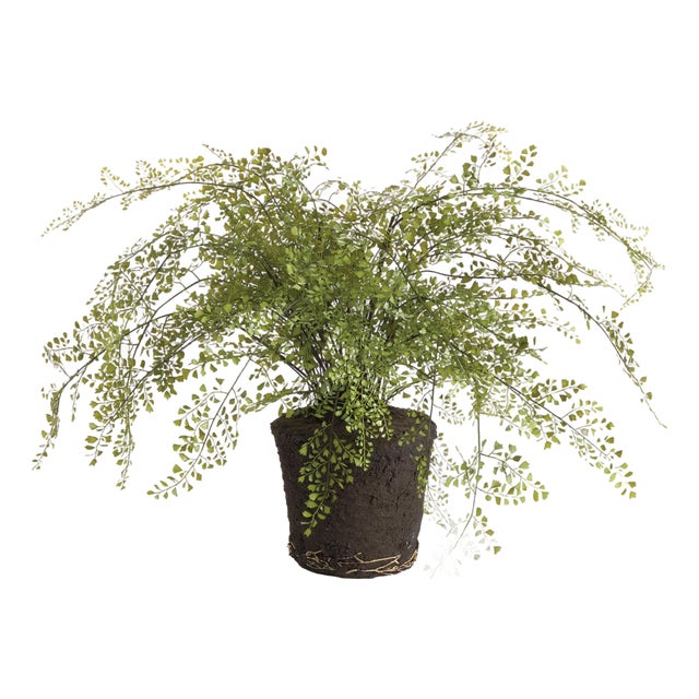 Maidenhair Drop-In 37" For Sale