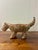 Sculptural handmade ceramic jaguar bowl created by Indigenous Waujá (Waurá) artisans of Brazil. The vessel is modeled in...