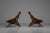 Hunting Chairs by W.D. Andersag for Piacenza, Italy, 1959, Set of 2 For Sale - Image 6 of 18