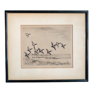 Early 20th Century Drypoint Etching Print of "Little Blue Bills" by Roland Clark For Sale