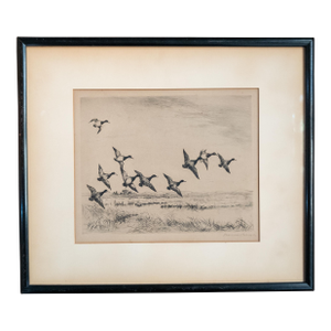 Early 20th Century Drypoint Etching Print of "Little Blue Bills" by Roland Clark