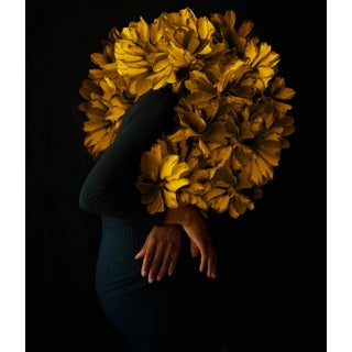 "Dreams Are Made of Gold" Contemporary Figurative Botanical Photograph by Fares Micue, Limited Edition For Sale