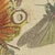 Bertuch, Hercules Beetle and Lantern Fly, 1805, Print For Sale - Image 6 of 12