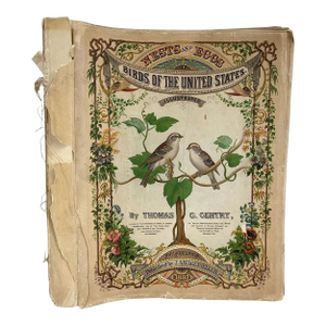 Rare Book Thomas G. Gentry Nests and Eggs of Birds of the United States