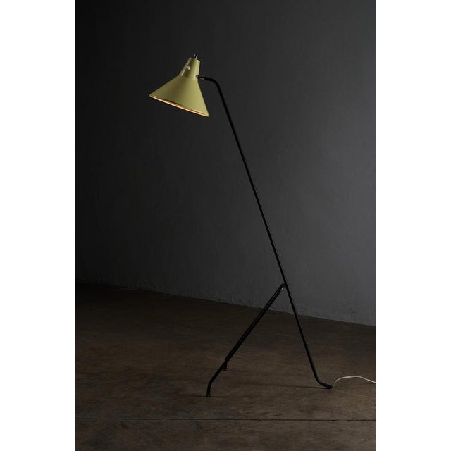 Vintage Grasshopper Tripod Floor Lamp by Willem Van Doorn, 1960s For Sale - Image 6 of 9