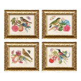Vintage Reproduction Giclee Set of Birds and Butterflies-Framed (Set of All 4) For Sale