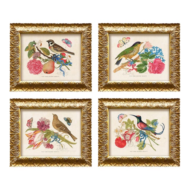 Vintage Reproduction Giclee Set of Birds and Butterflies-Framed (Set of All 4) For Sale