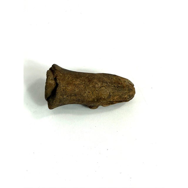 Antique Pre-Columbian Style Terracotta Dog Head Fragment For Sale - Image 4 of 5