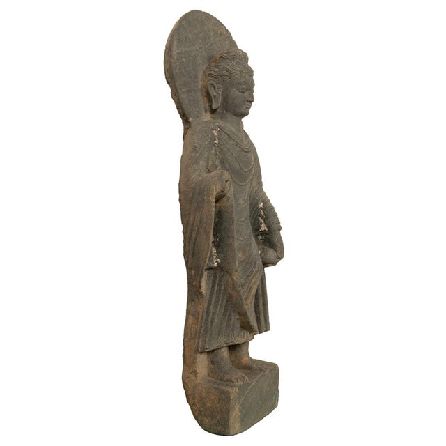 Charcoal Ancient Indian Carved Stone Gandharan Shakyamuni Buddha Statue 2nd Century A.D. For Sale - Image 8 of 16