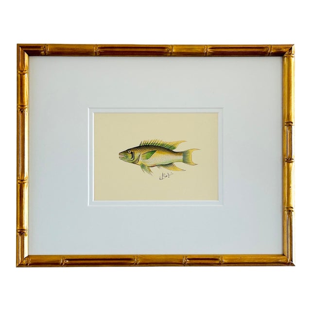 Original Hand-Painted Green Fish Painting, Framed For Sale
