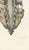 Hirschfeld and Leveille, Brain and Spinal Cord with the Spinal Nerves, 1866, Paper For Sale - Image 9 of 12
