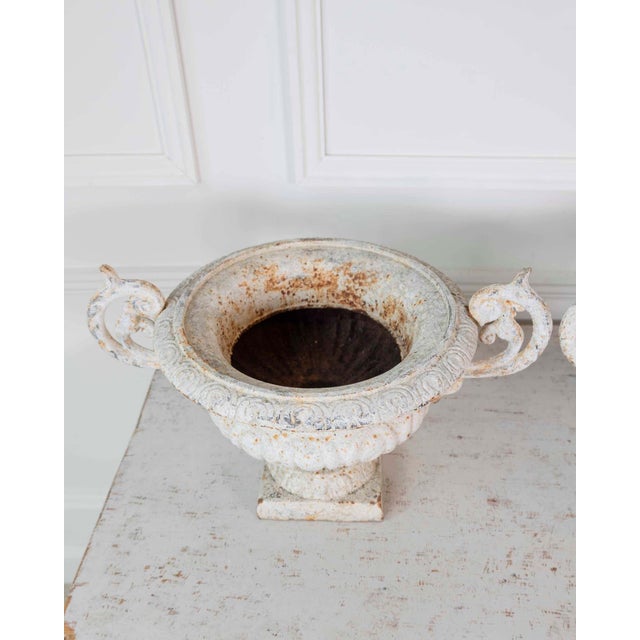 Off-white Pair of English 19th Century Cast-Iron Garden Urns For Sale - Image 8 of 13