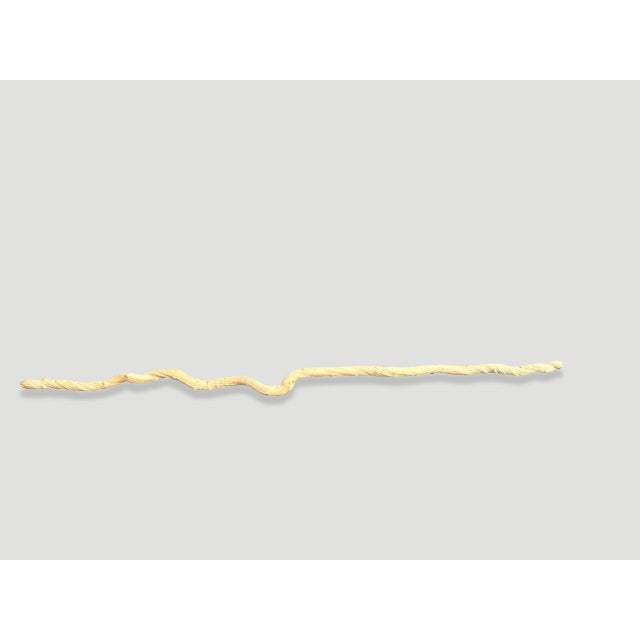 Contemporary Andrianna Shamaris Bleached Liana Branch For Sale - Image 3 of 5
