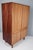 Vintage Wardrobe by Francisek Mezulanik, 1960s For Sale - Image 3 of 12