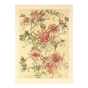 C1900 French Art Nouveau Botanical Design Chromolithograph by Habert Dys