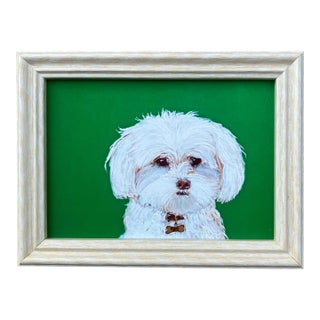 Contemporary Maltese Dog Small Print by Judy Henn Vintage White Wood Frame For Sale