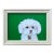 Contemporary Maltese Dog Small Print by Judy Henn Vintage White Wood Frame For Sale