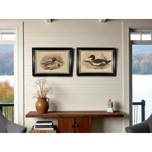 A pair of framed hand colored lithographs by the well known 19th century English ornithological artist John Gould...